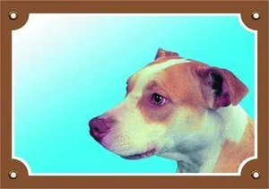 Farbschild Achtung Hund, Pitbull Terrier